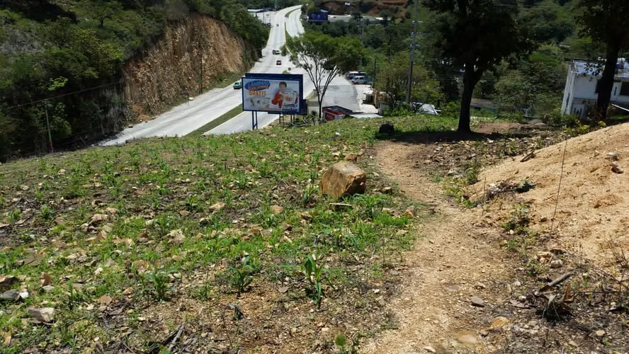 Terreno de 3 Manzanas sobre CA-9 | Ideal para Proyecto Industrial