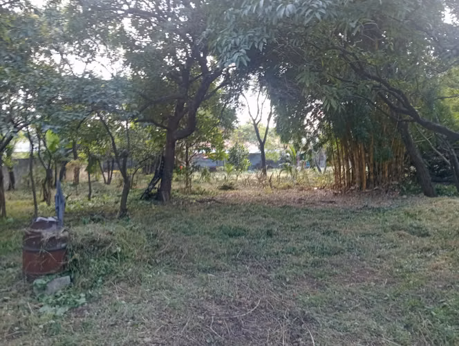 ¡Terreno Plano de 1,306 m² en Zona 21, Loma Blanca!