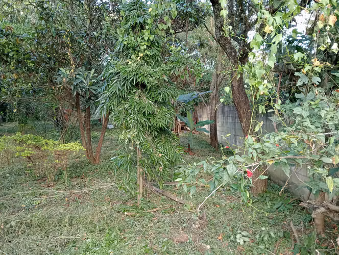 ¡Terreno Plano de 1,306 m² en Zona 21, Loma Blanca!