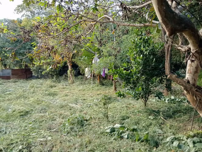 ¡Terreno Plano de 1,306 m² en Zona 21, Loma Blanca!
