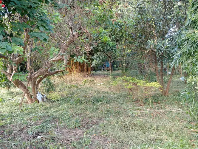 ¡Terreno Plano de 1,306 m² en Zona 21, Loma Blanca!