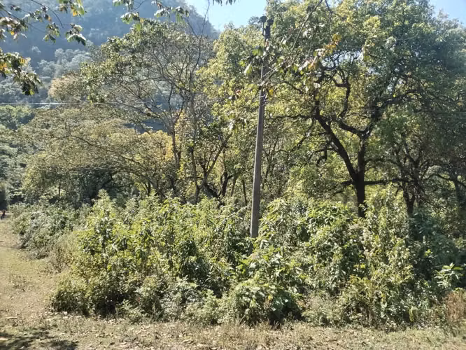 Terreno en Santiago Atitlán