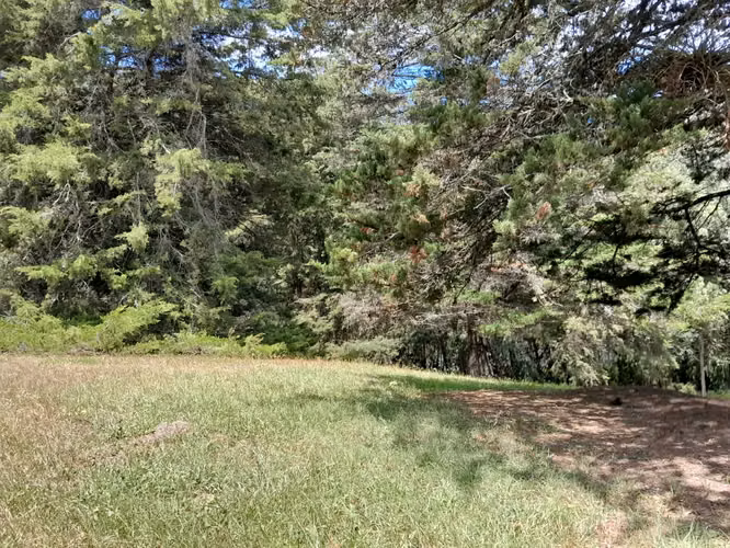 VENTA TERRENO EN HACIENDA NUEVA COUNTRY CLUB, frente al Campo de Golf