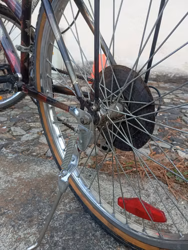 Bicicleta Montañesa Rin 26