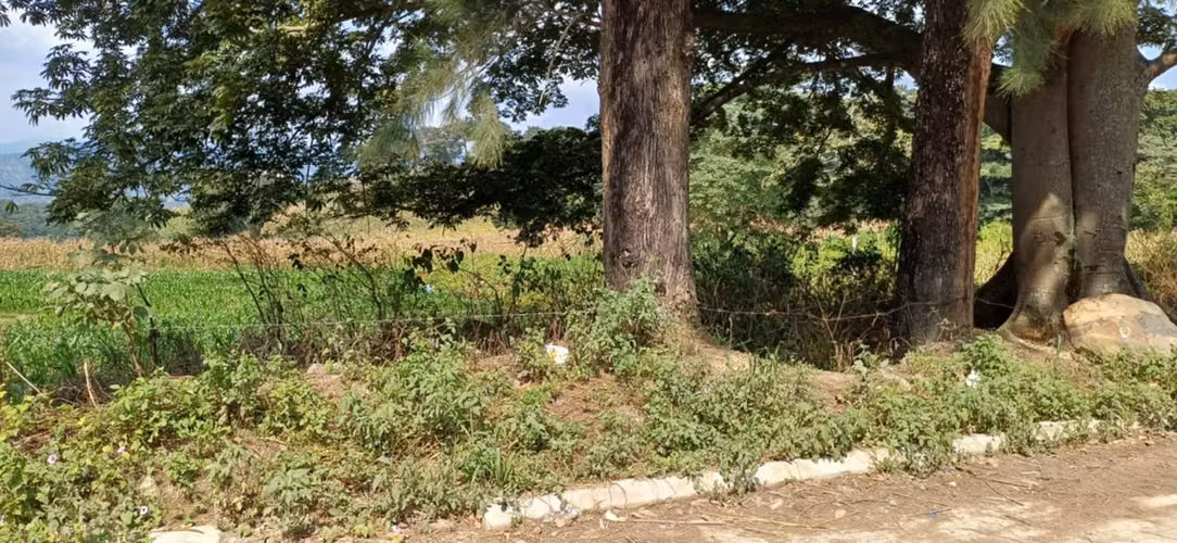 Terreno 22 Mzs.Orillacarretera al salvador km 64 