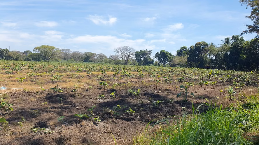 Terreno 22 Mzs.Orillacarretera al salvador km 64 