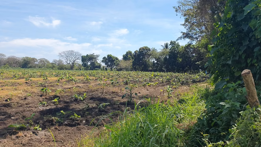 Terreno 22 Mzs.Orillacarretera al salvador km 64 