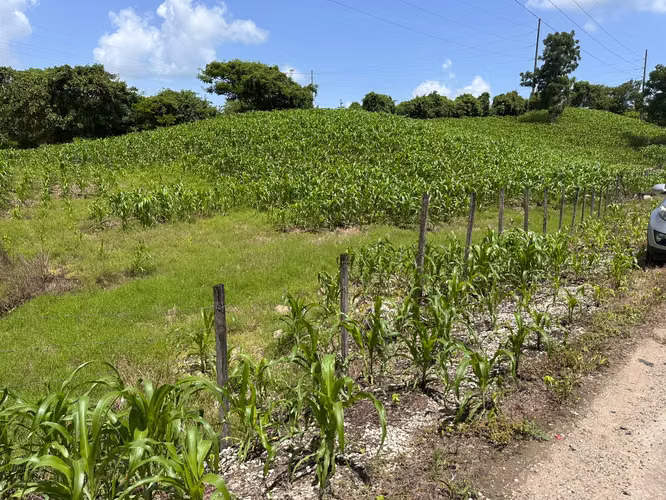 Vendo una Manzana de Terrenos en la Comunidad de Tierra Linda Ruta Playa Grande.