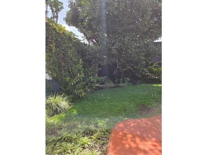  CASA EN RENTA – 4 HAB + JARDÍN  | SECTOR LA VILLA | ZONA 14 - Imagen 13