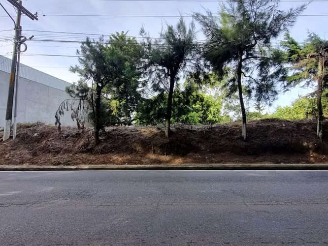 COMMERCIAL LAND RENTAL ON ROAD TO EL SALVADOR KM. 16.5 INPUT OLMECA