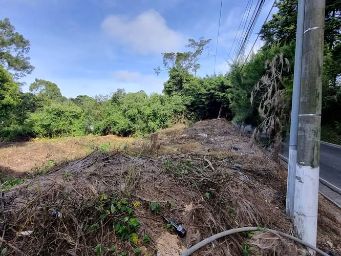 ALQUILO TERRENO COMERCIAL EN CARRETERA A EL SALVADOR KM. 16.5 ENTRADA OLMECA - Imagen 4