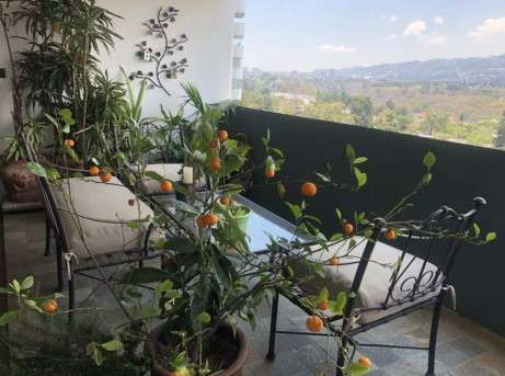 LQUILER DE APARTAMENTO EN ZONA 14 PREMIUER CLUB, AMUEBLADO Y EQUIPADO DE TRES DORMITORIOS - Imagen 6