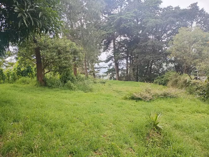 Venta de terreno en aldea choacoral - Imagen 4