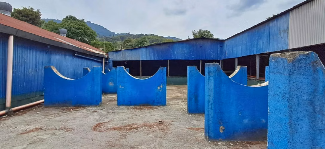 PROPIEDAD EN RENTA EN LO DE COY MIXCO INGRESO POR LA INTER AMERICANA - Imagen 7