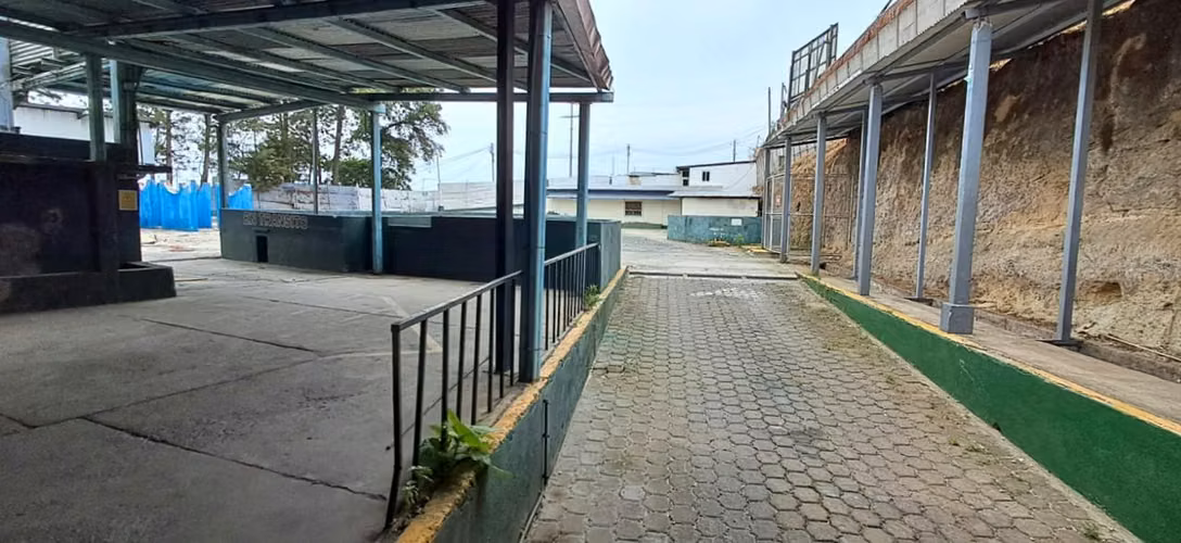 PROPERTY IN INCOME AT THE COY MIXCO INCOME BY THE INTER AMERICAN