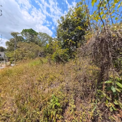 Terreno en Venta San Cristóbal en Colonia sobre Bulevar - Imagen 8