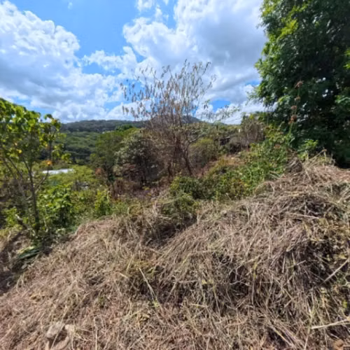 Terreno en Venta San Cristóbal en Colonia sobre Bulevar - Imagen 9