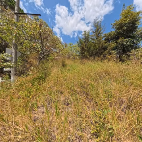 Terreno en Venta San Cristóbal en Colonia sobre Bulevar - Imagen 7