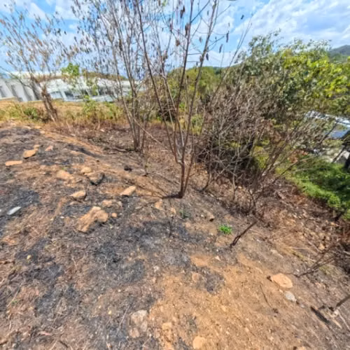 Terreno en Venta San Cristóbal en Colonia sobre Bulevar - Imagen 5