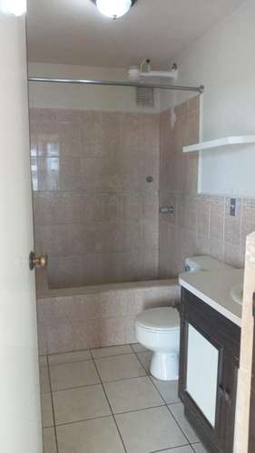 ALQUILO APARTAMENTO 1 HABITACIÓN EN EL CORTIJO Z9