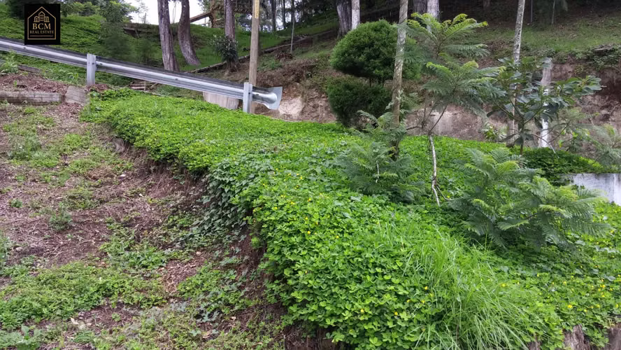 Terreno en Venta - Imagen 5