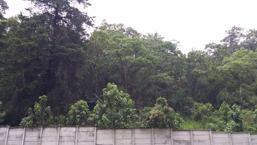 Terreno en Venta - Imagen 8
