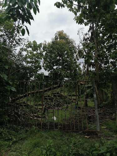 Land in Izabal