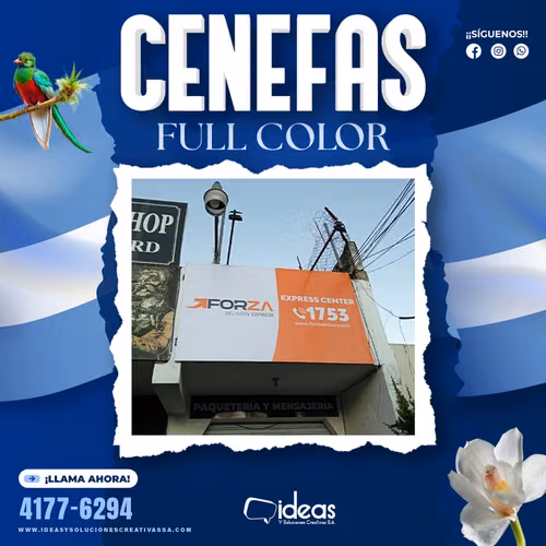 CENEFA PROMOCIONAL 