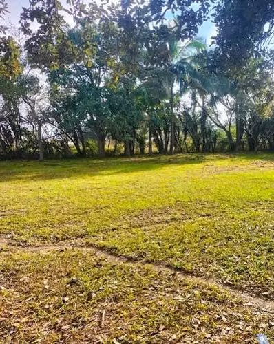 TERRENO EN VENTA KM.64, CERCA DE HINO, Hino, 50% Urbanizado (J) - Imagen 6