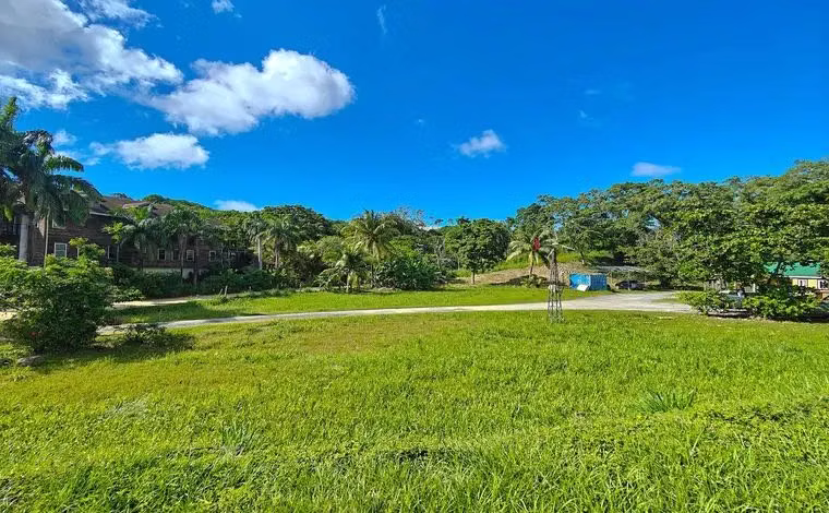 TERRENO EN VENTA KM.64, CERCA DE HINO, Hino, 50% Urbanizado (J) - Imagen 12