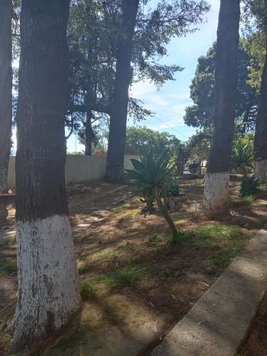 Granja en Km 32 San Bartolomé Milpas Altas, Sacatepéquez - Imagen 3