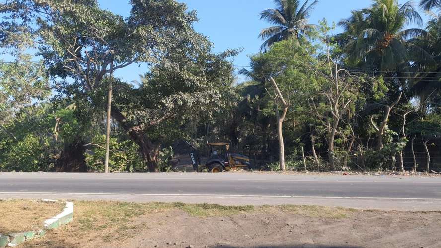 Terreno en Tiquisate, Escuintla - Imagen 3