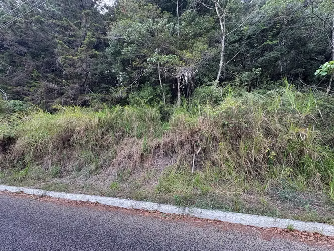 Terreno en Km 16 Carretera a El Salvador - Imagen 8