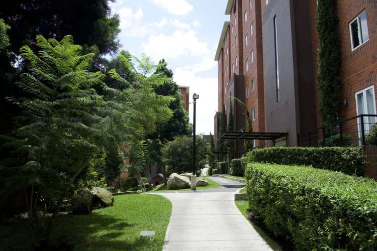 Apartamento en Zona 16 - Imagen 2