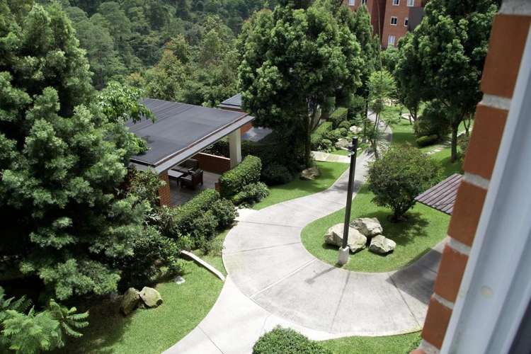 Apartamento en Zona 16 - Imagen 3
