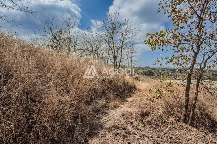 Terreno en Zona 17 - Imagen 7