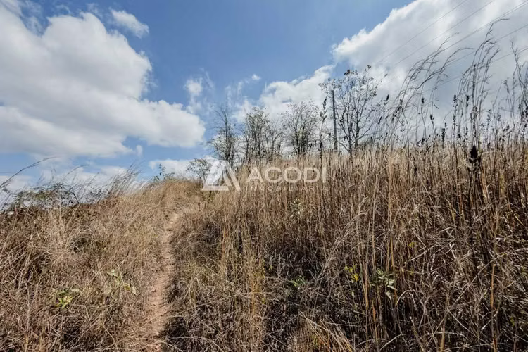 Terreno en Zona 17 - Imagen 5