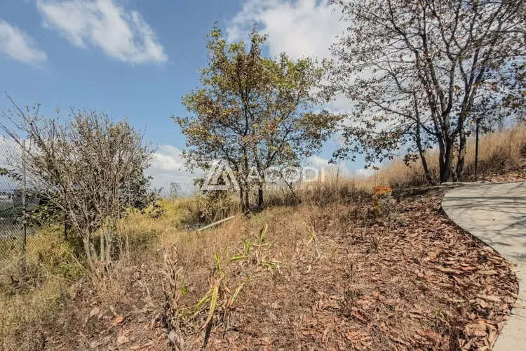 Terreno en Zona 17 - Imagen 3