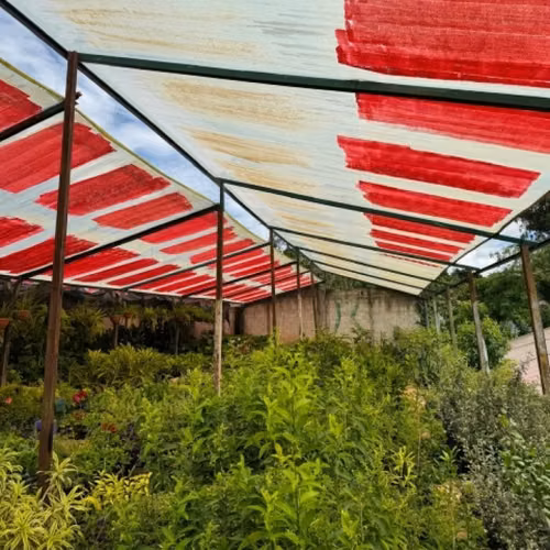 Terreno Comercial en Renta Zona 4 Socabal Chimaltenango - Imagen 4