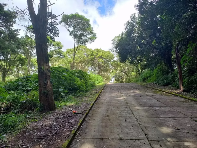 Terreno en Casa y Campo, Km 23 Carretera a El Salvador - Imagen 2