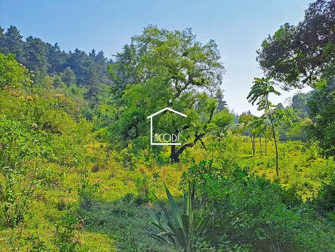 Terreno en El Pajón, Santa Catarina Pinula - Imagen 3
