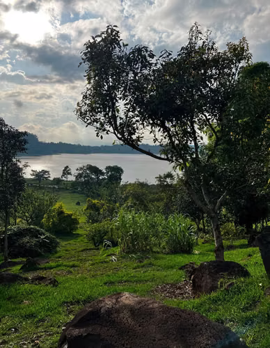 Terreno en Laguna del Pino, Santa Rosa - Imagen 3