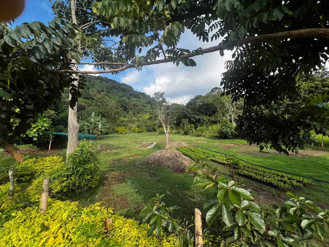 Terreno en Laguna del Pino, Santa Rosa - Imagen 2