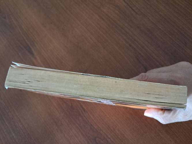 Libro por  qué los hombres se casan con las cabronas
