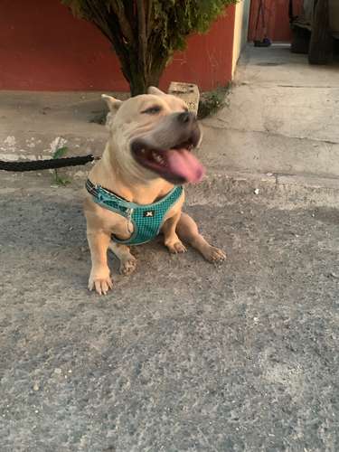 Busco novio - Imagen 3