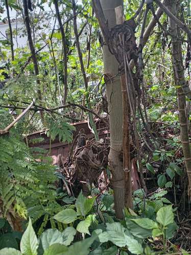 Terreno en San Bartolomé Becerra, Antigua Guatemala - Imagen 2