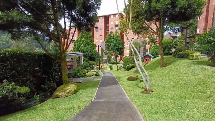 Apartamento en Renta en Cañada 16 z16 - Miniatura 12