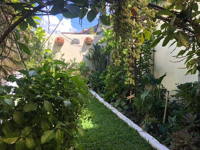 CASA EN RENTA EN CIUDAD DE PLATA ZONA 7  - Imagen 13