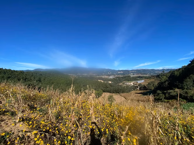 Terreno 5,590 m² Tecpán — libre de gravámenes — Q375,000