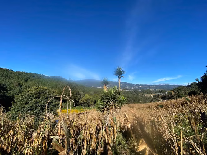 Terreno 5,590 m² Tecpán — libre de gravámenes — Q375,000